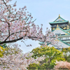 Spring in Osaka, Japan 2023