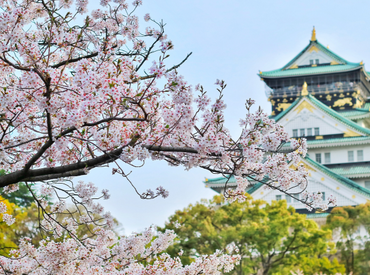 Spring in Osaka, Japan 2023