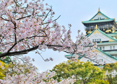 Spring in Osaka, Japan 2023