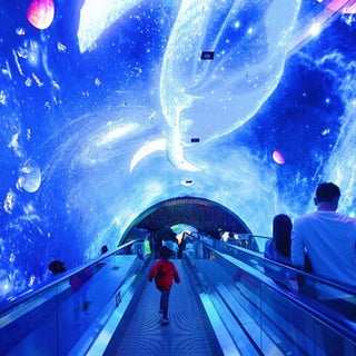 4D3N | 5in1 Hongkong Shenzhen | MAR 2025