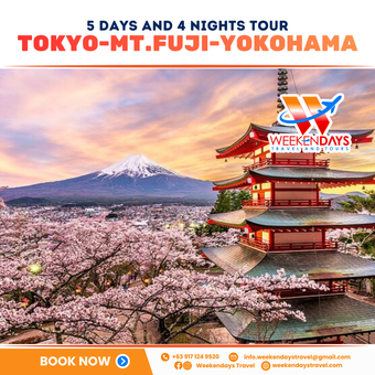 5D4N | Tokyo - Mt. Fuji - Yokohama | SEPTEMBER - DECEMBER 2026