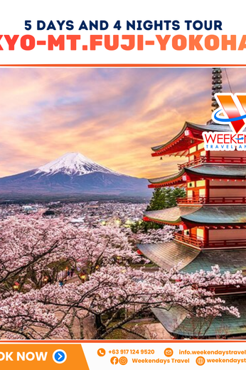 5D4N | Tokyo - Mt. Fuji - Yokohama | SEPTEMBER - DECEMBER 2026