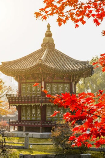 6D4N | Delightful Korea (Autumn Season) | OCTOBER - NOVEMBER 2025