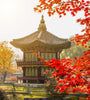 6D4N | Delightful Korea (Autumn Season) | OCTOBER - NOVEMBER 2025