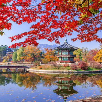 6D4N | Delightful Korea (Autumn Season) | SEPTEMBER - OCTOBER 2025