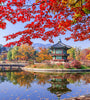 6D4N | Delightful Korea (Autumn Season) | SEPTEMBER - OCTOBER 2025