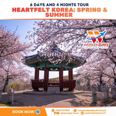 6D4N | HEARTFELT KOREA: SPRING & SUMMER | AUG 2026
