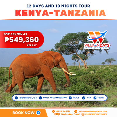 12D10N | HAKUNA MATATA: KENYA & TANZANIA | JUL 2026