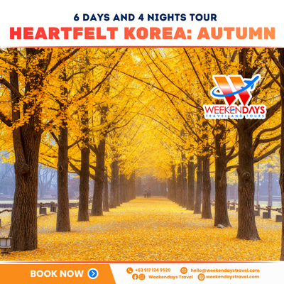 6D4N | HEARTFELT KOREA: AUTUMN | SEP-NOV 2026