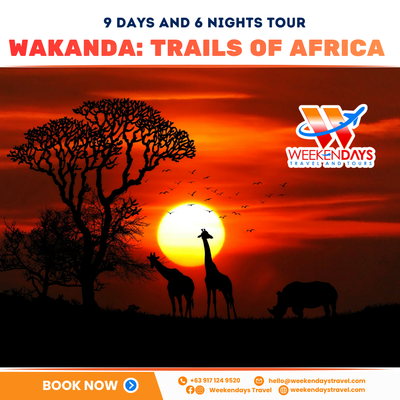 9D6N | WAKANDA: TRAILS OF AFRICA | AUG 20-AUG 28 2026