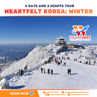 6D4N | HEARTFELT KOREA: WINTER | DEC 2026-FEB 2027