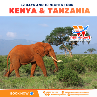 12D10N | HAKUNA MATATA: KENYA & TANZANIA | JUL 2026