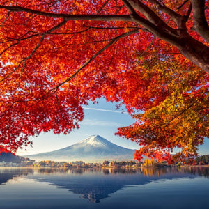 5D4N | Tokyo - Mt. Fuji - Yokohama | SEPTEMBER - NOVEMBER 2026