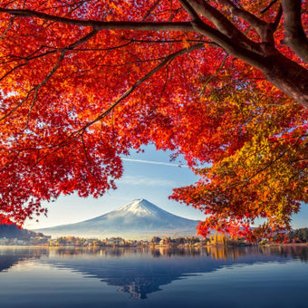 5D4N | Tokyo - Mt. Fuji - Yokohama | SEPTEMBER - NOVEMBER 2026