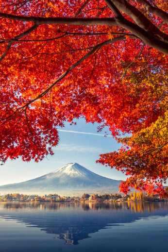 5D4N | Tokyo - Mt. Fuji - Yokohama | SEPTEMBER - NOVEMBER 2026