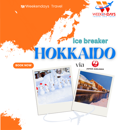 7D4N Hokkaido Tour -Snow Festival