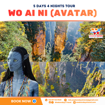 5D4N | WO AI NI (AVATAR) | APR-JUN 2026