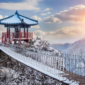 6D4N | Delightful Korea (Winter Season) | DECEMBER 2025