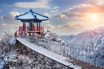 6D4N | Delightful Korea (Winter Season) | DECEMBER 2025