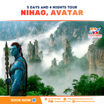 5D4N | NIHAO, AVATAR | JUNE 2026