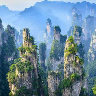 5D4N | Avatar Beijing | APR 2025