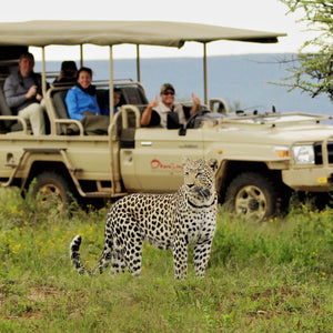 10D9N | WAKA WAKA: It's Time For Africa | OCTOBER 2025 - APRIL 2026