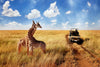 SOUTH AFRICAN ADVENTURE